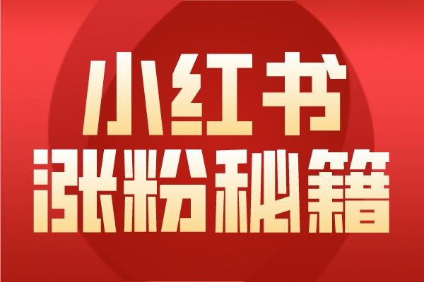 小红书粉丝10万月收入？